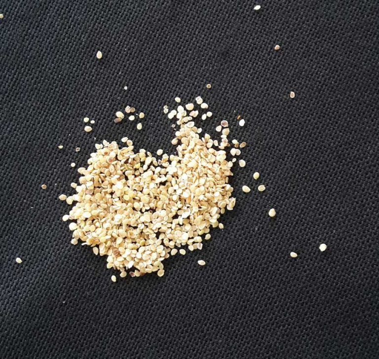 Potato Seeds