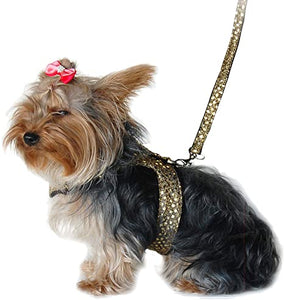 Sparkly Harness