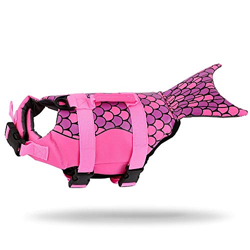 Moose Bathing Suit