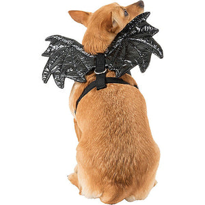 Sparkly Harness