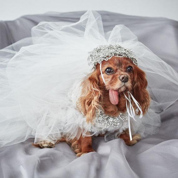 Moose Bridal - Wedding Dress